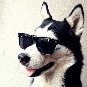 Meet your Posher, Karina